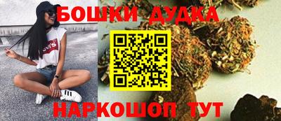 прущие грибы Усть-Илимск