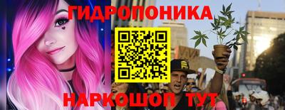 прущие грибы Усть-Илимск