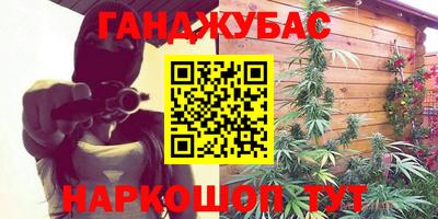 прущие грибы Усть-Илимск